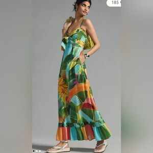 Farm Rio Anthropologie size small Tie-Waist Printed Dress